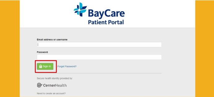 BayCare Patient Portal Login